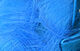 Preview image of product Crosscut Rabbit Strips Fl Blue #125