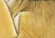 Preview image of product Crosscut Rabbit Strips Tan #369