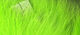 Preview image of product Crosscut Rabbit Strips Lime Green #51