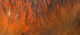 Preview image of product Crosscut Rabbit Strips Crawfish Orange #7