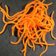 Preview image of product Caster's Squirmito The Original Squiggly Worm Material #137 Fl Orange