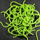 Preview image of product Caster's Squirmito The Original Squiggly Worm Material #212 Lt Olive