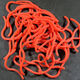 Preview image of product Caster's Squirmito The Original Squiggly Worm Material #36 Bright Red