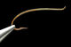 Preview image of product 2055 Alec Jackson's Spey Hook Gold Size 03