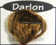 Preview image of product Darlon Rusty Brown #13