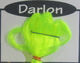 Preview image of product Darlon Fluorescent Chartreuse #21