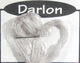 Preview image of product Darlon Light Dun #4