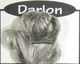 Preview image of product Darlon Medium Dun #5