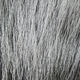 Preview image of product Deer Belly Hair Dyed From White Gray #165