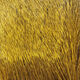 Preview image of product Premo Deer Hair Strip Golden Brown #157