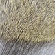 Preview image of product Premo Deer Hair Strip Natural Brown #244