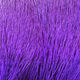 Preview image of product Dyed Deer Body Hair Purple #298