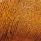 Preview image of product Premo Deer Hair Strip Rusty Brown #323