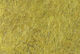 Preview image of product Dazzle Hares Ear Dubbing Golden Olive #036