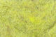 Preview image of product Dazzle Hares Ear Dubbing Sulphur Yellow #078