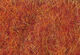 Preview image of product Dazzle Hares Ear Dubbing Burnt Orange #087