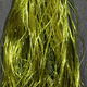 Preview image of product Daddy Long Legs #263 Olive