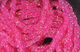 Preview image of product Dyed Pearl Diamond Braid Fuchsia #147
