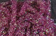 Preview image of product Dyed Pearl Diamond Braid #63 Claret 