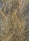 Preview image of product FB BaitFish Brush  Bronze Back FBB42B 2 inch