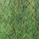 Preview image of product Steve Farrar SF Blend Seaweed #41