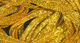 Preview image of product Mini Flat Fly Braid #386 Yellow Gold