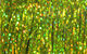 Preview image of product Flashabou Magnum #3282 Holo Yellow