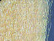 Preview image of product Dyed Pearl Accent #7980 Peach