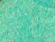Preview image of product Dyed Pearl Accent #7981 Seafoam