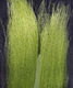Preview image of product Fluoro Fibre Olive #14