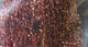 Preview image of product Flashabou Weave #1344 Black/Red/Copper