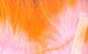 Preview image of product Crosscut Rabbit Flesh Strips Two Tone #329 Salmon Pink Orange