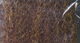 Preview image of product Strung Fuzzy Fiber Brown #9038
