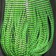 Preview image of product Grizzly Flutter Legs #2 Black Barred Clear Chartreuse