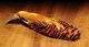 Preview image of product Golden Pheasant Complete Head