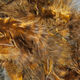 Preview image of product Grizzly Marabou Brown #40
