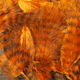 Preview image of product Grizzly Marabou #48 Burnt Orange