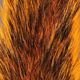 Preview image of product Gray Squirrel Tail Dyed Orange #271