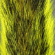 Preview image of product Gray Squirrel Tail Dyed Yellow #383
