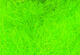 Preview image of product Hareline Dubbin Fl. Lime Green #05