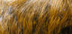 Preview image of product Dyed Grade #1 Hare's Mask #157 Golden Brown 