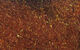 Preview image of product Ice Dub #288 Pheasant Tail