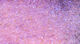 Preview image of product Ice Dub #289 UV Pink