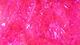 Preview image of product Translucent Ice Chenille Large #131 Fluorescent Fuchsia 