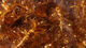 Preview image of product Translucent Ice Chenille Large #320 Root Beer 