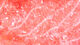 Preview image of product Ice Chenille Medium #343 Shrimp Pink