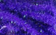 Preview image of product Ice Dub Chenille #298 Purple