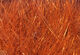 Preview image of product 8 Inch Ice Wing Fiber #187 Hot Orange