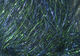 Preview image of product 8 Inch Ice Wing Fiber #268 Olive Midnight