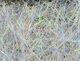 Preview image of product 8 Inch Ice Wing Fiber #296 Polar Wind